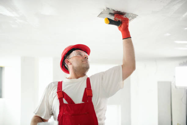 Best Fire-Damaged Drywall Repair  in Deerfield, WI